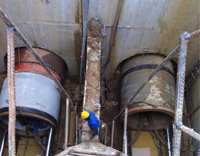 �ֽ����������