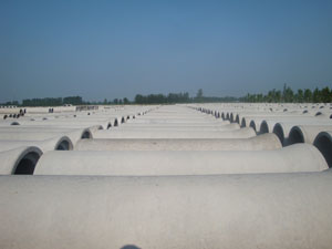 �ֽ��������ˮ��