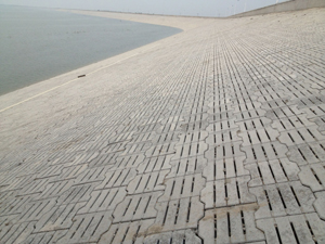 �����д���ˮ��ˮ�����鹤��